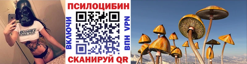 MEGA ссылка  что такое наркотик  Кубинка  Псилоцибиновые грибы мицелий 