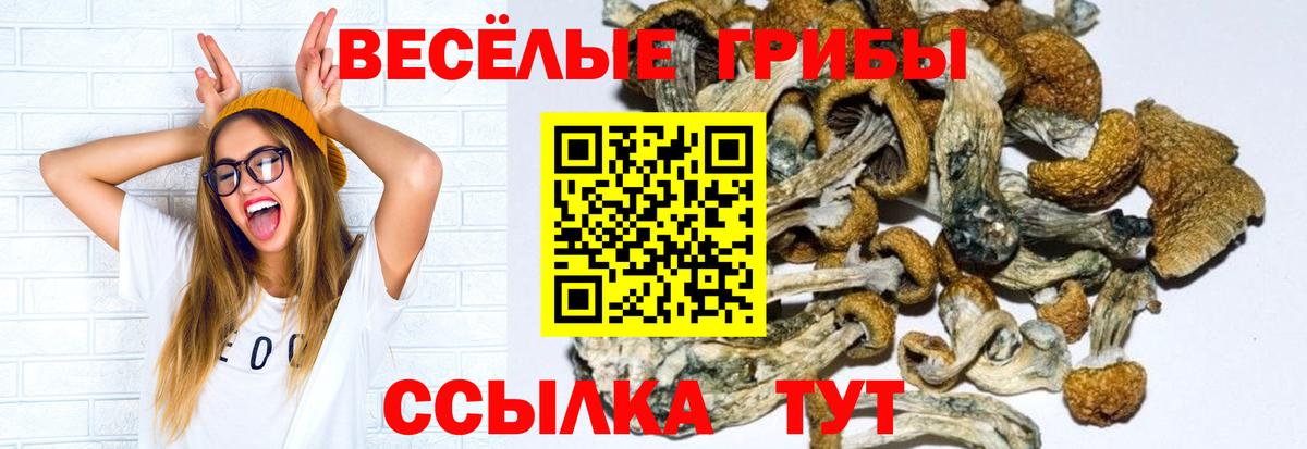 цена наркотик  Галлюциногенные грибы Magic Shrooms  Псилоцибиновые грибы Psilocybe  Вход с VPN  Кубинка 
